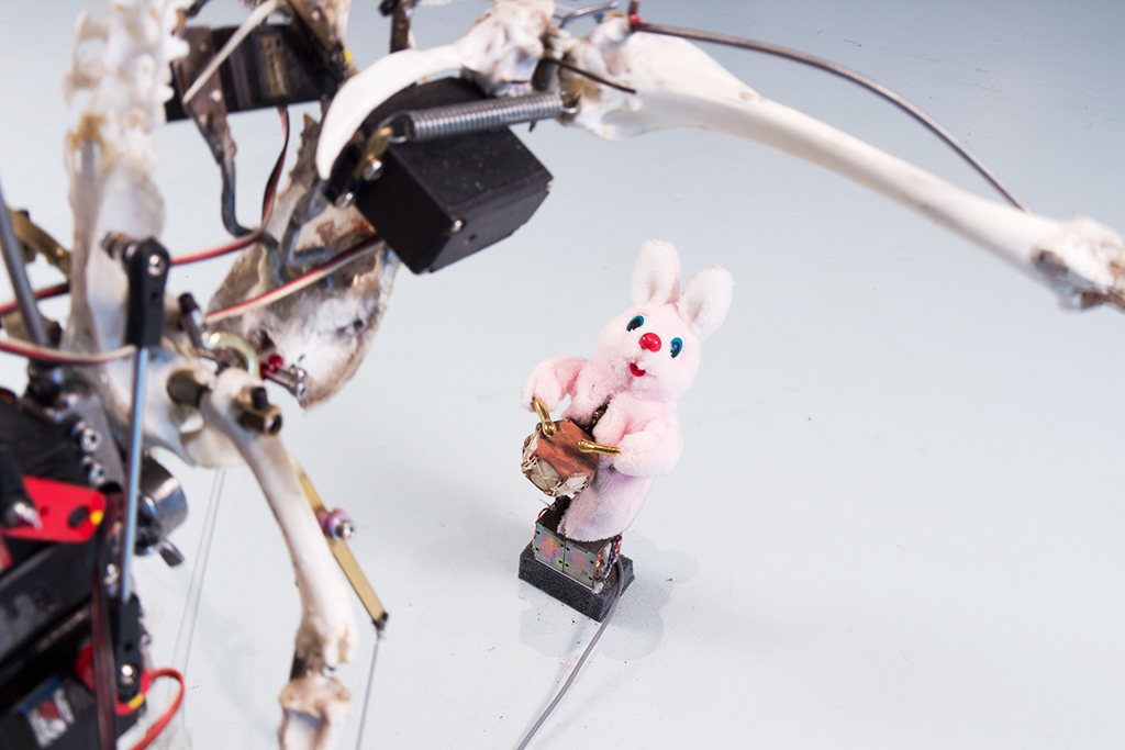 christaanzwanikken_fuck_duracell02