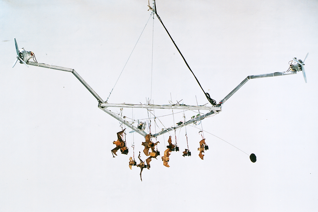 christiaanzwanikken_bat_trip02