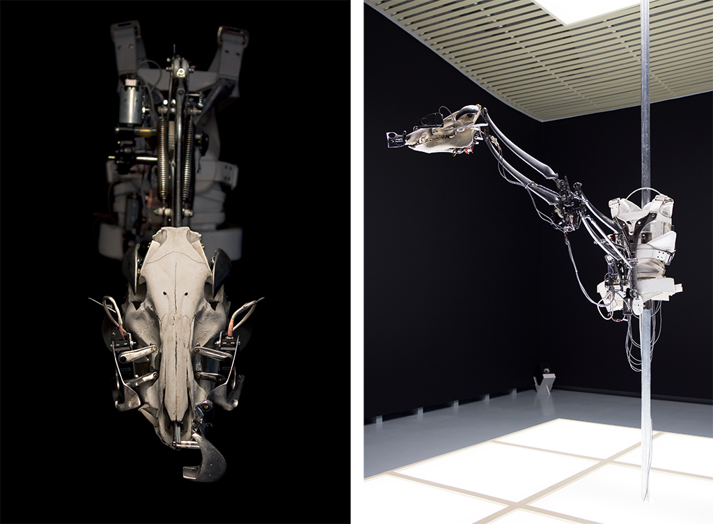 christiaanzwanikken_exoskeletal02
