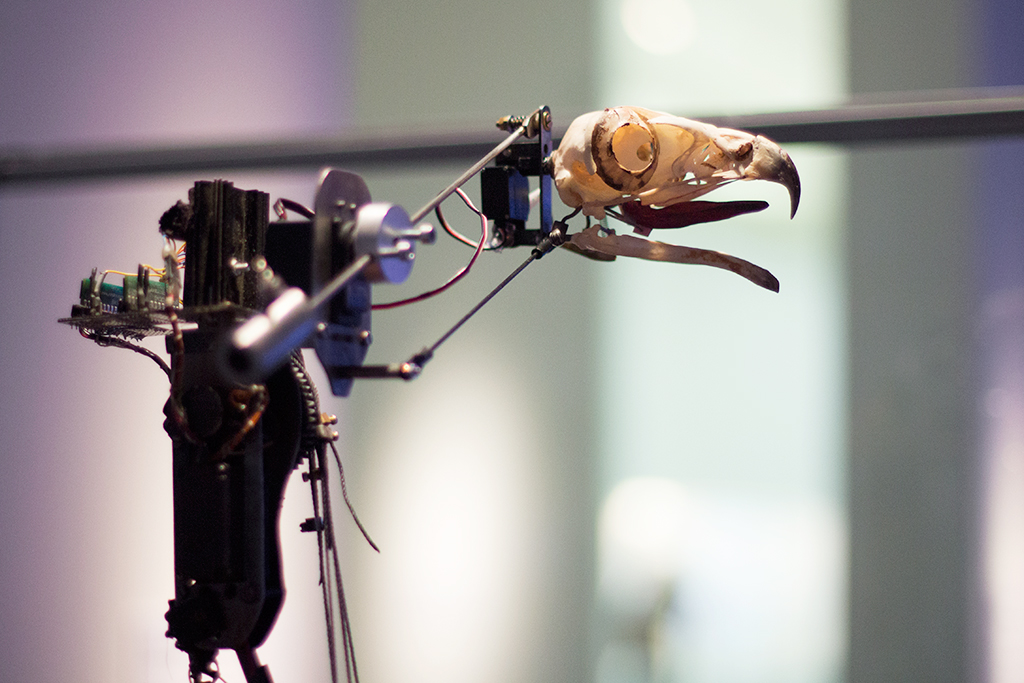 christiaanzwanikken_monsieur_houdin01