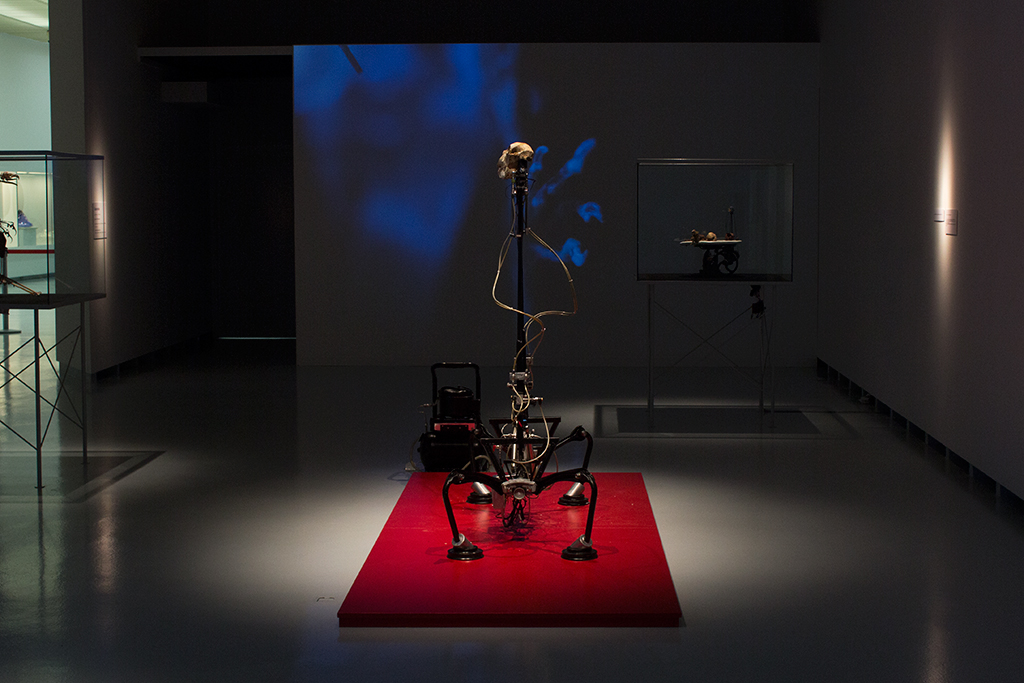 christiaanzwanikken_the_twins01