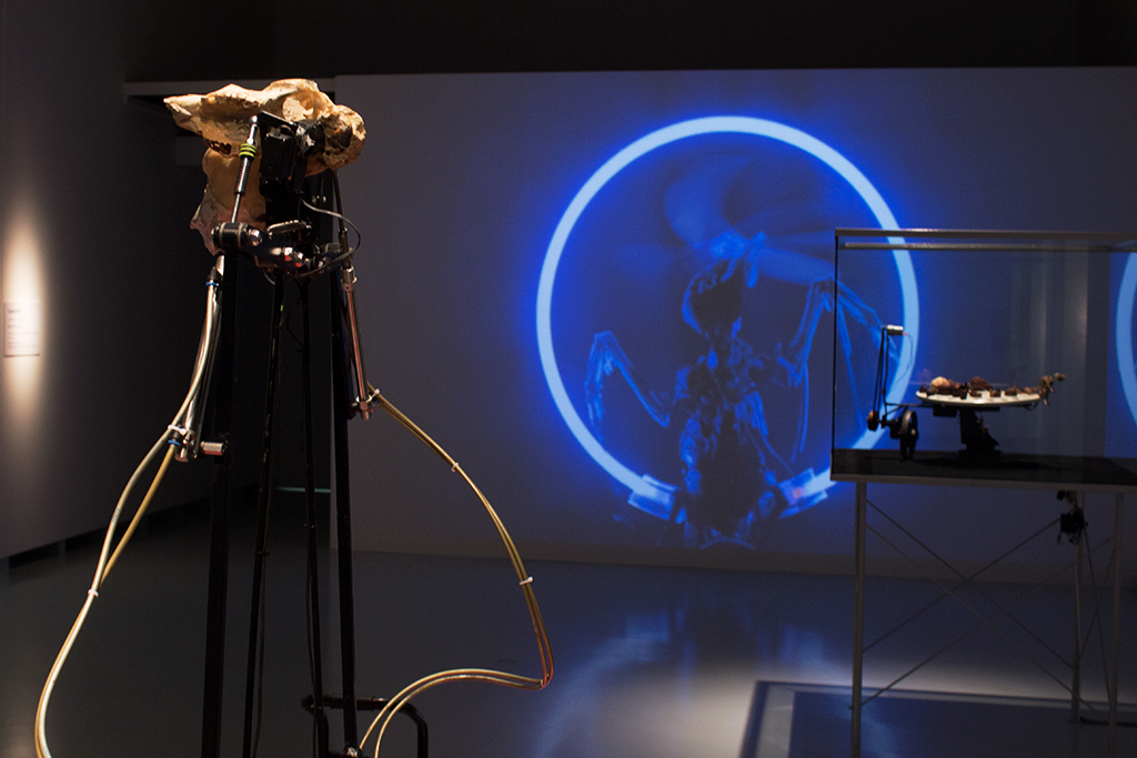 christiaanzwanikken_the_twins02